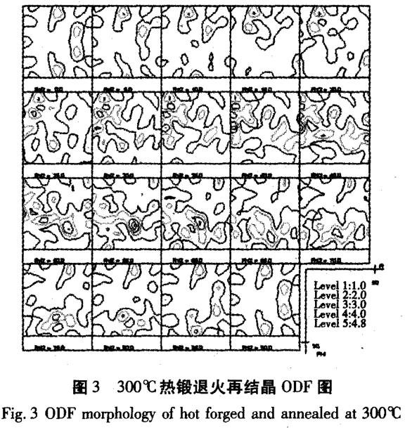 1687662097275887.jpg t3.jpg