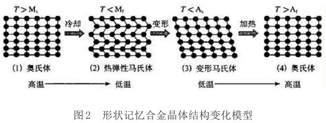 1701347307357032.jpg t2.jpg