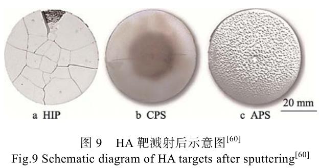 1701691805681796.jpg t9.jpg