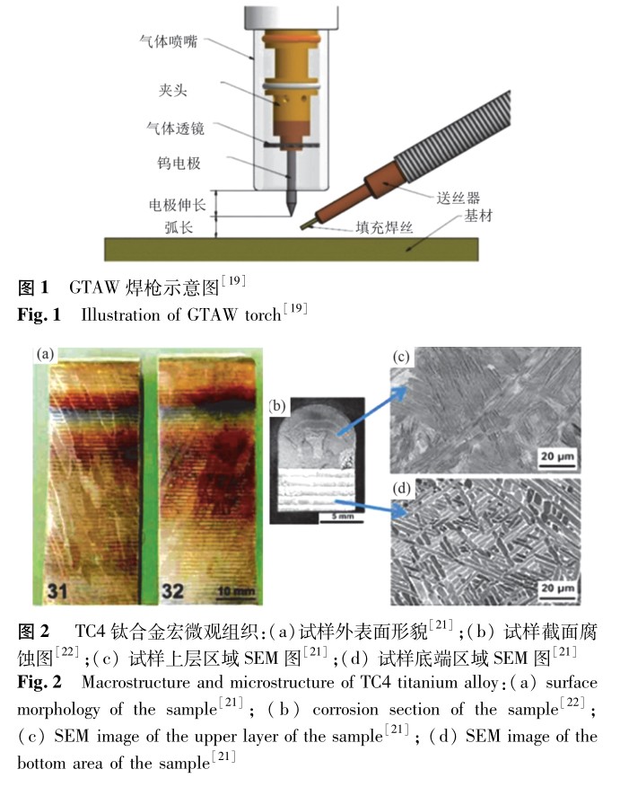 1703124970733565.jpg t1-2.jpg