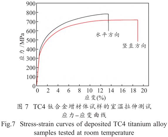 1706191538477796.jpg t7.jpg