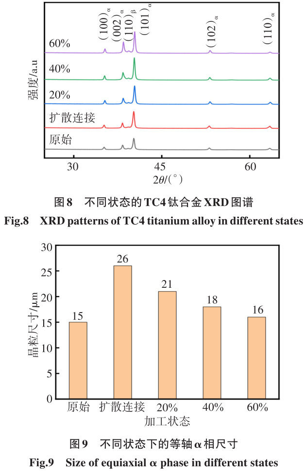 1700449110838226.jpg t8-9.jpg