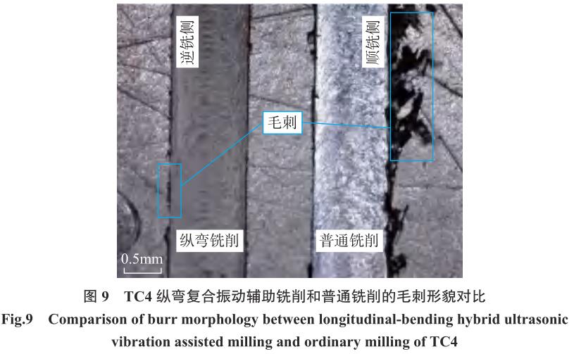 1721399614157085.jpg t9.jpg