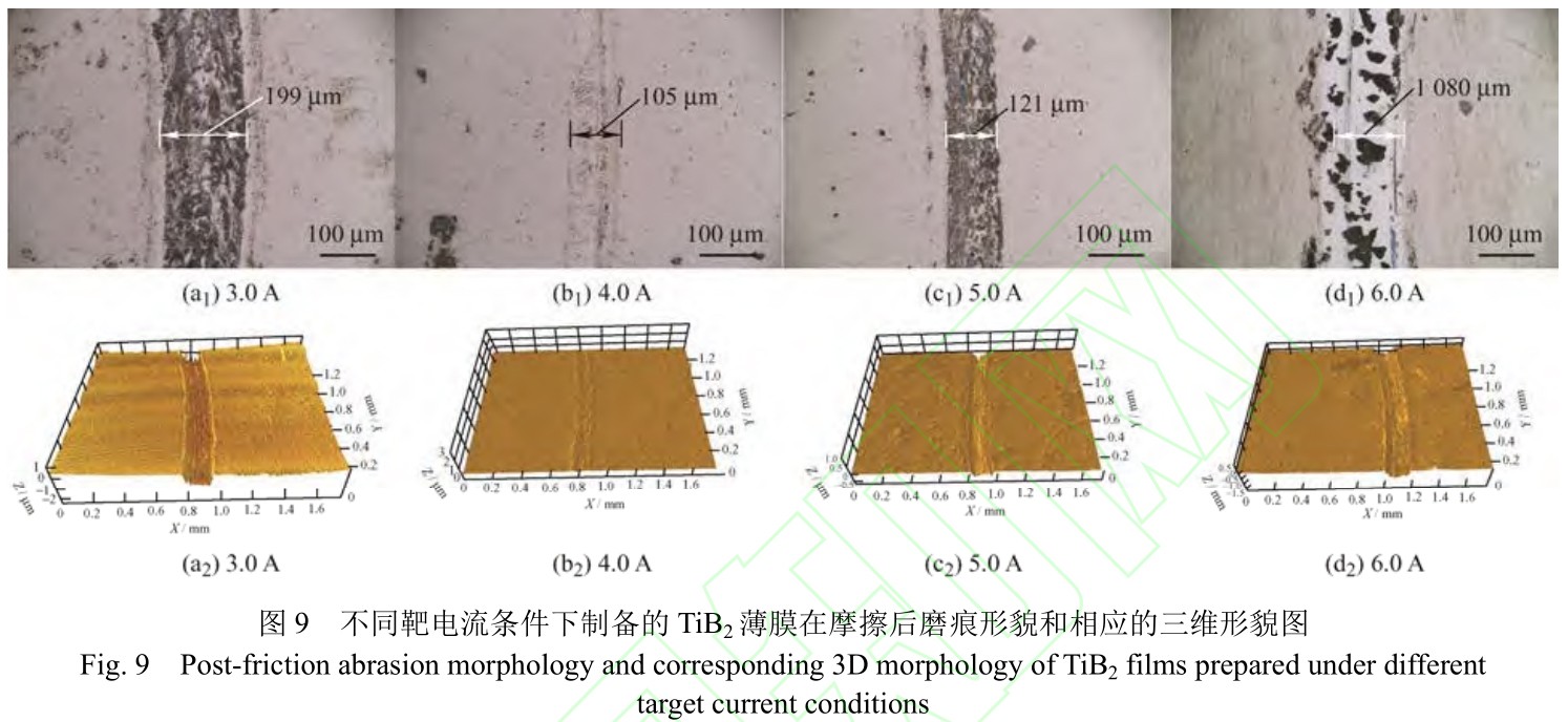 1725376928763066.jpg t9.jpg