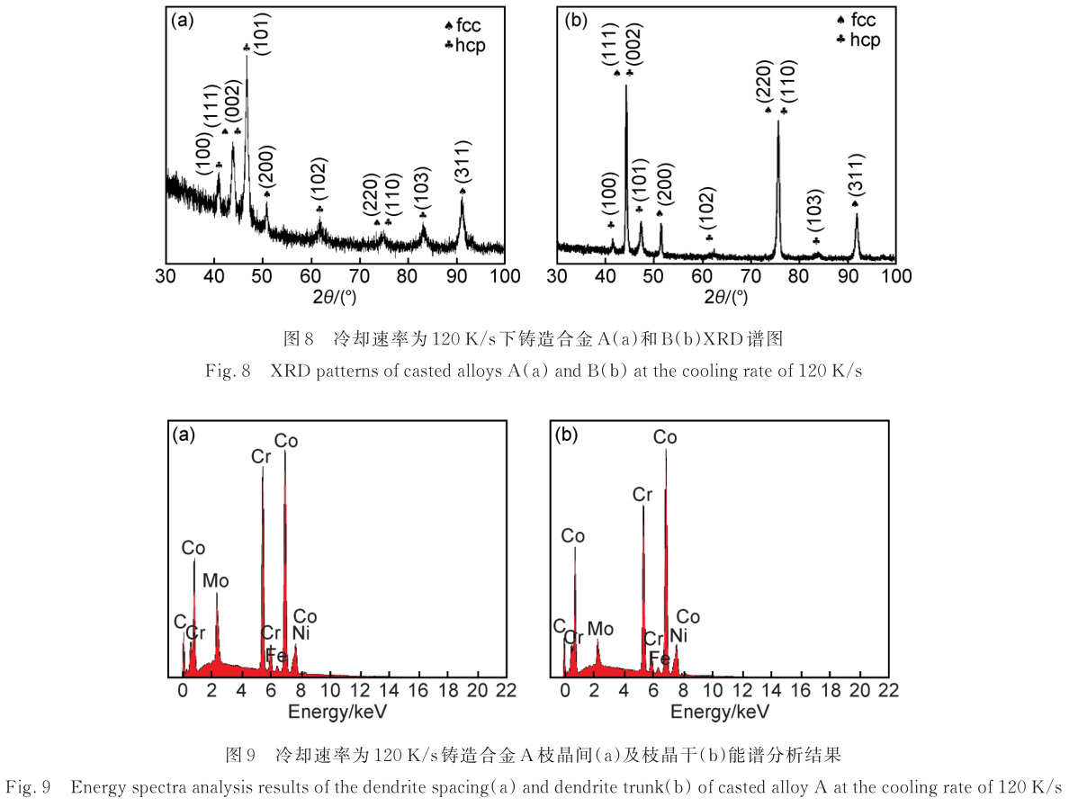 1725438310474969.jpg t8-9.jpg