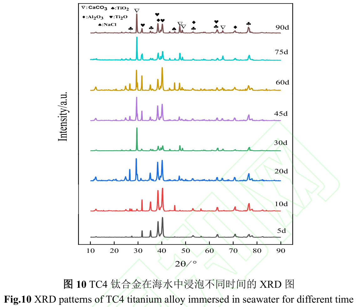 1734945015994528.jpg 10.jpg