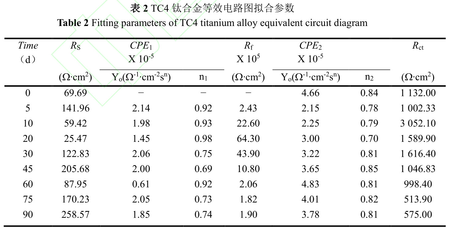 1734945203394911.jpg b2.jpg